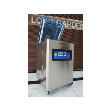 Máy hút chân không DZQ-500 Promax buồng đúc