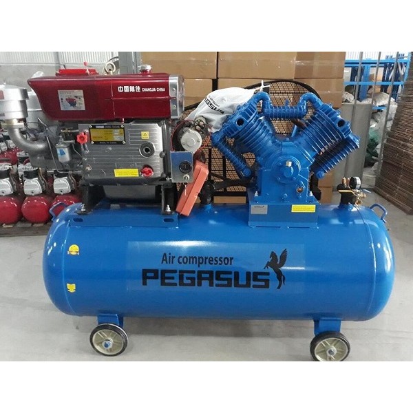 Máy nén khí chạy dầu diesel Pegasus TM-W-1.0/8-330L 10hp 