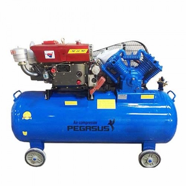 Máy nén khí chạy dầu diesel Pegasus TM-W-1.0/8-500L 10hp 