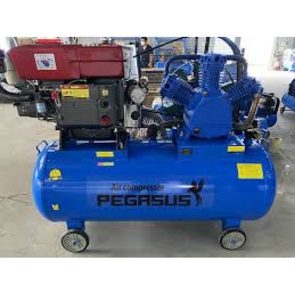 Máy nén khí chạy dầu diesel TM-W-1.6/12.5-500L 15hp 
