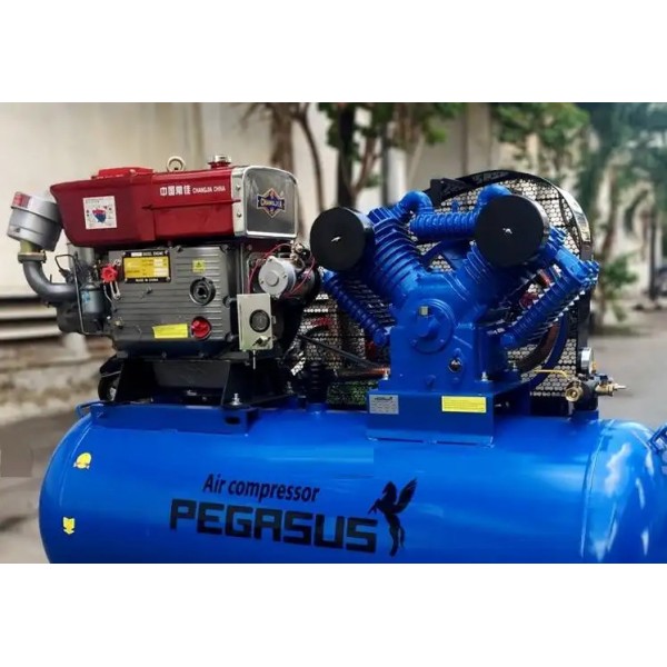 Máy nén khí chạy dầu diesel TM-W-1.6/8-500L 15Hp