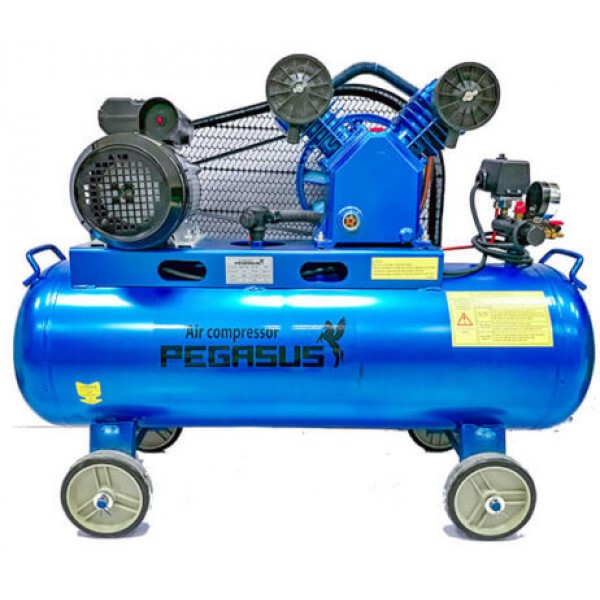 Máy nén khí Pegasus TM-V-0.25/8-180L 
