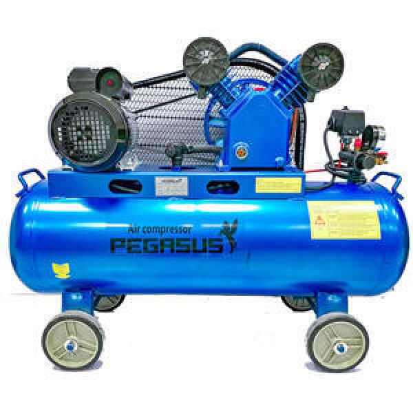 Máy nén khí Pegasus TM-V -0.12/8-70L