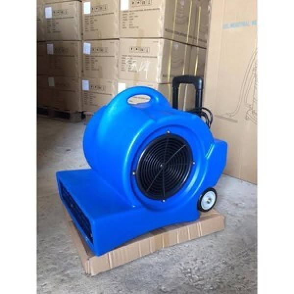Quạt thổi thảm 3 tốc độ Fred 900D