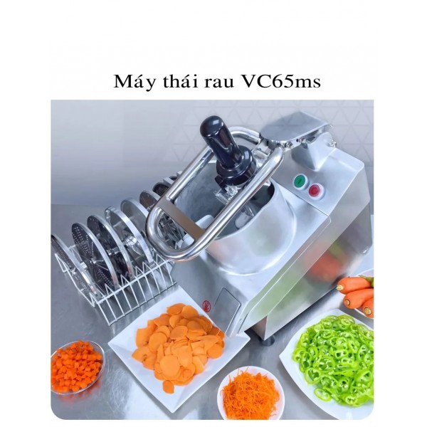 Máy thái rau củ quả VC65-MS